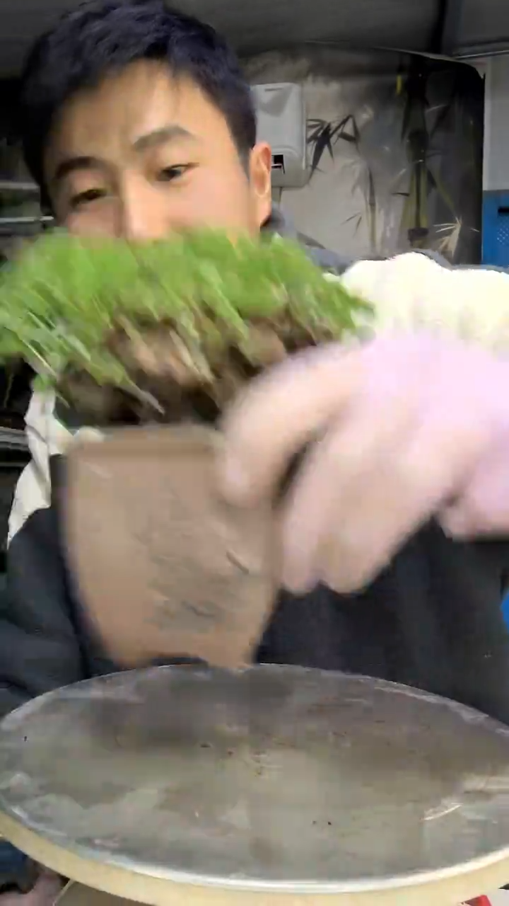 蕪*謂中青园艺一物一拍花146