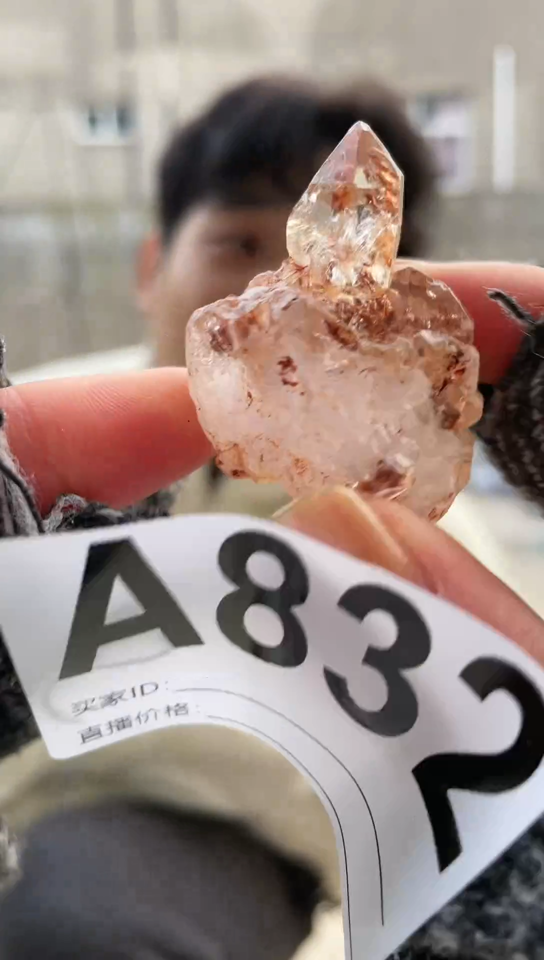 【闪购商品】水晶摆件未镶嵌红泥骸骨832