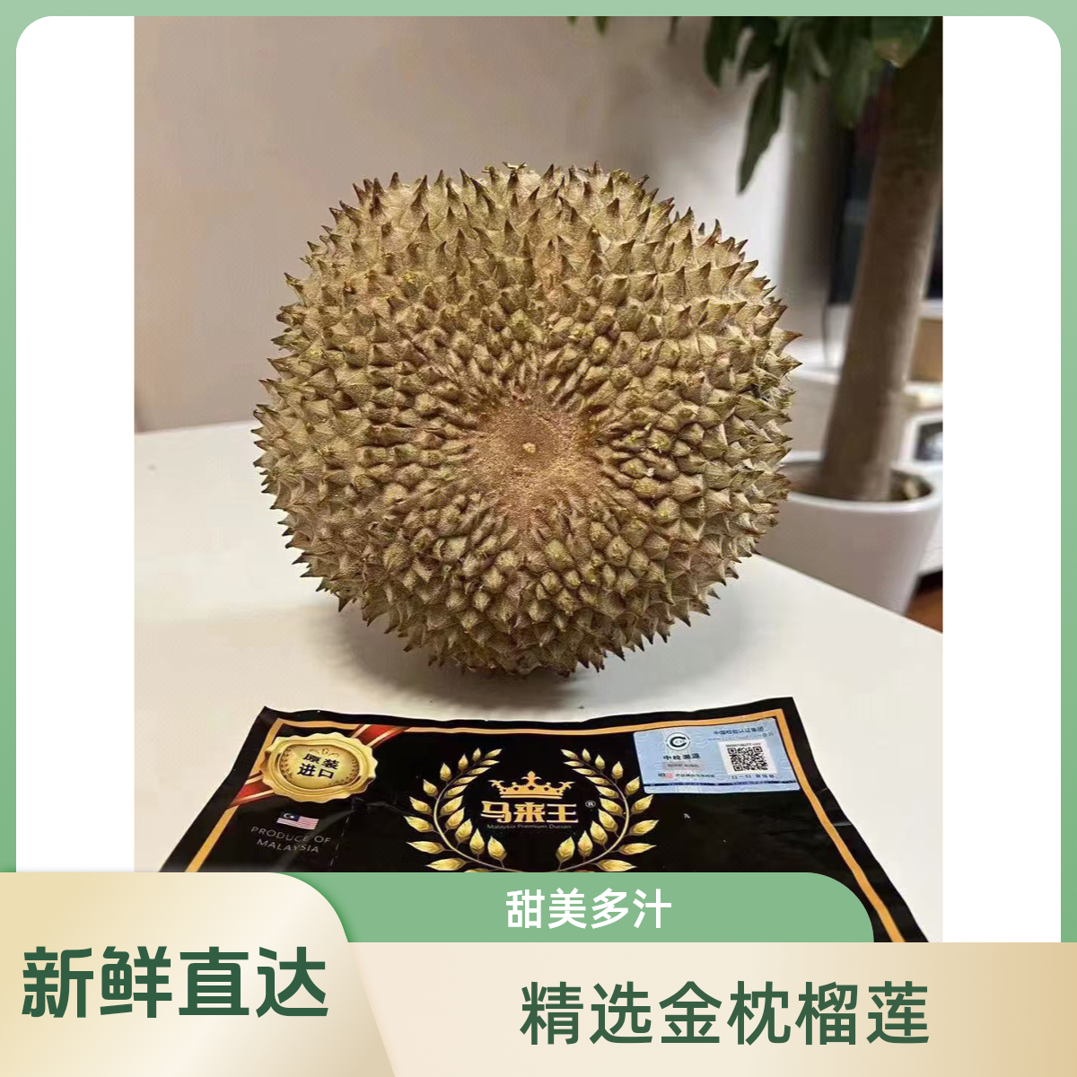 马来西亚AAD200黑刺保５房液氮冷冻多规格2～6斤  黑刺马来西亚