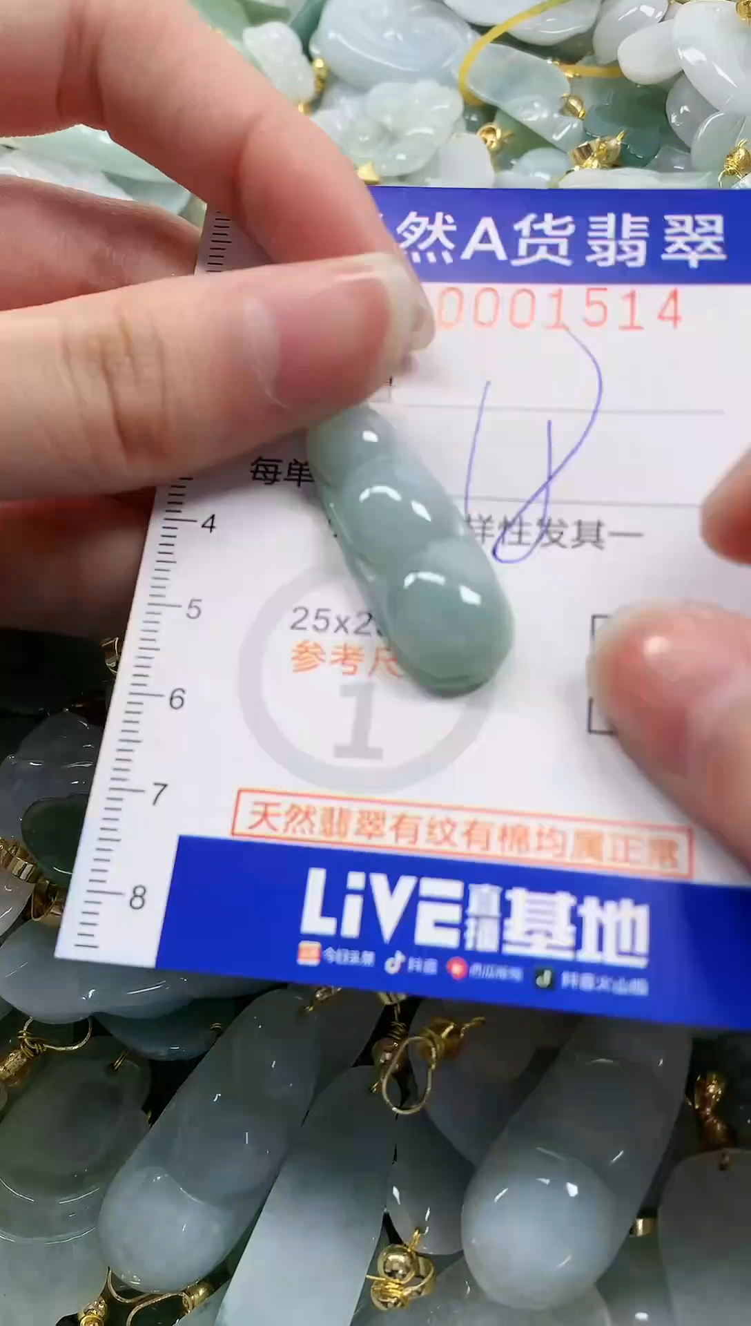 颈饰未镶嵌翡翠纯天然a货翡翠1