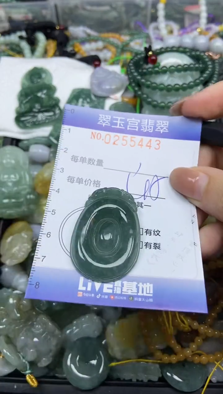 颈饰未镶嵌翡翠闪购C0255443