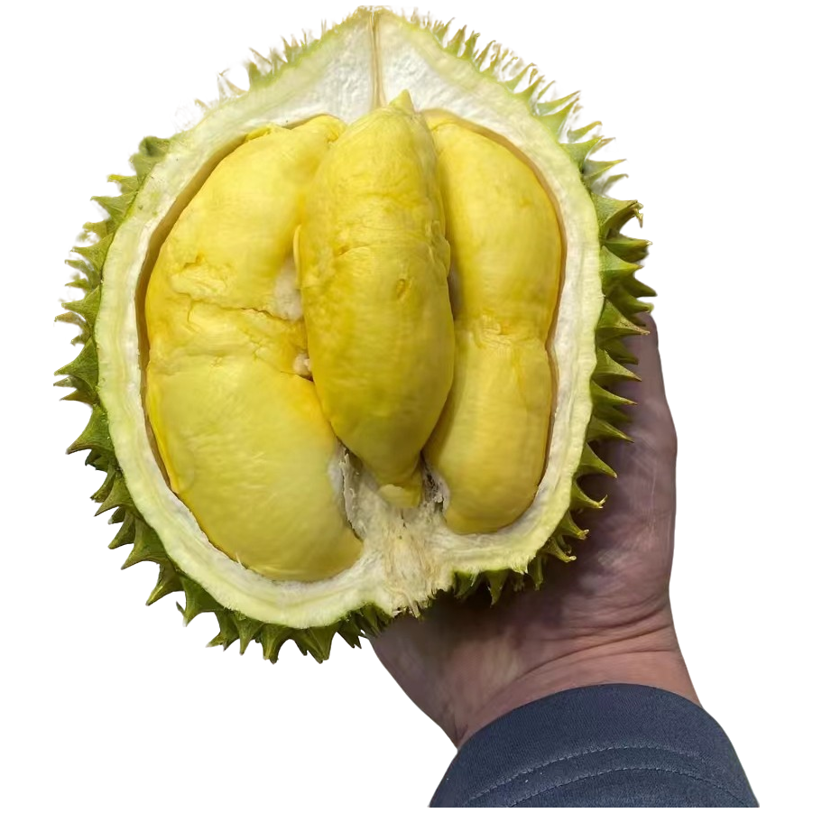 AA级【朋友果品甄选】整果树熟干荛鲜榴莲4-8斤核小保4房东三省顺丰干尧越南社会主义共和国