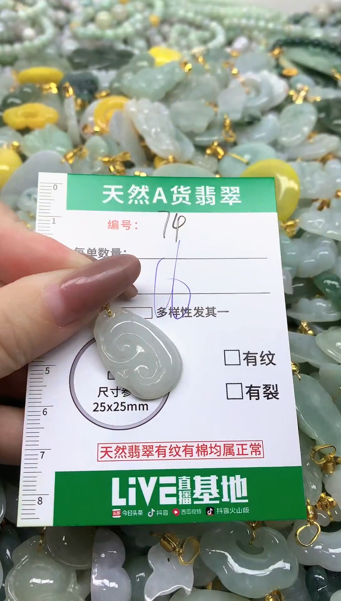 颈饰未镶嵌翡翠纯天然缅甸A货翡翠-74