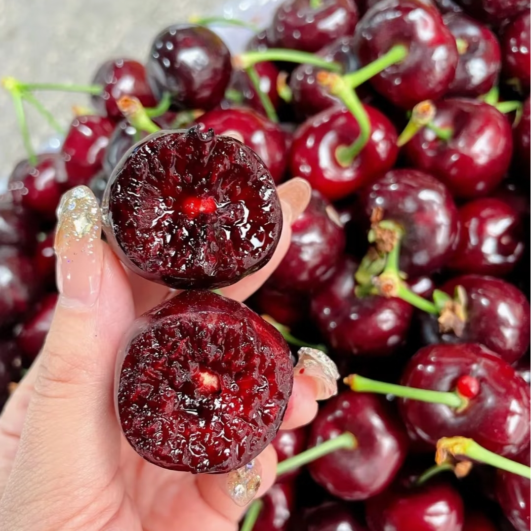 5斤/158元！JD/3JD！[冰熊]智利海运车厘子！ 进口原箱5斤装/10斤装 3JD，内附果径卡智利