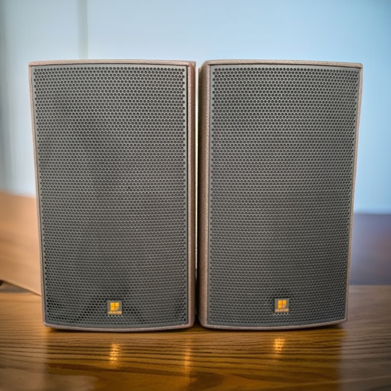 9新  新珑TX12专业音箱一对