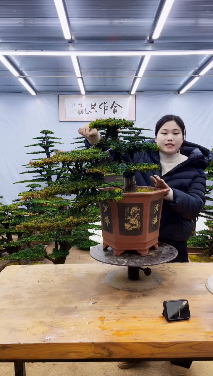 无花朵醉*一物一拍·所见即所得