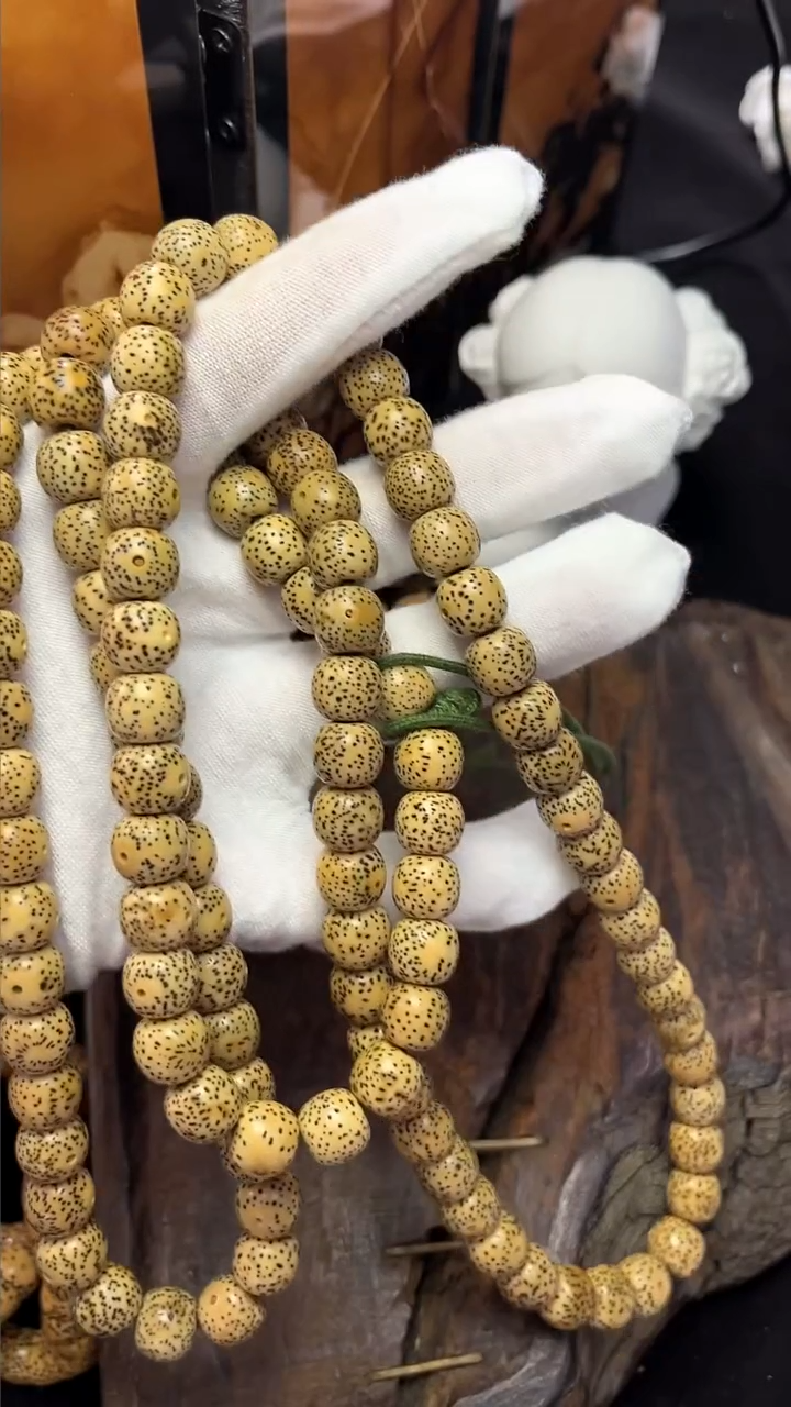 吊坠星月菩提精工级陈籽10*9桶珠长串