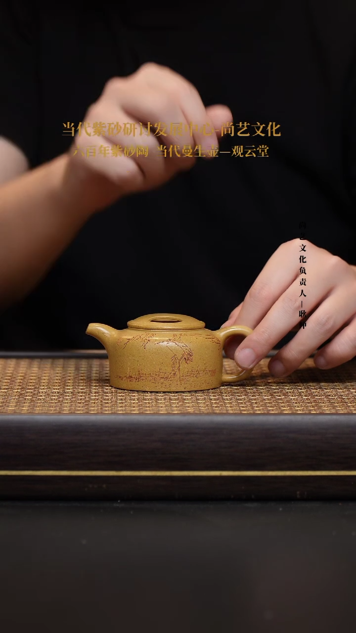 茶壶紫砂宜兴紫砂壶牛盖壶