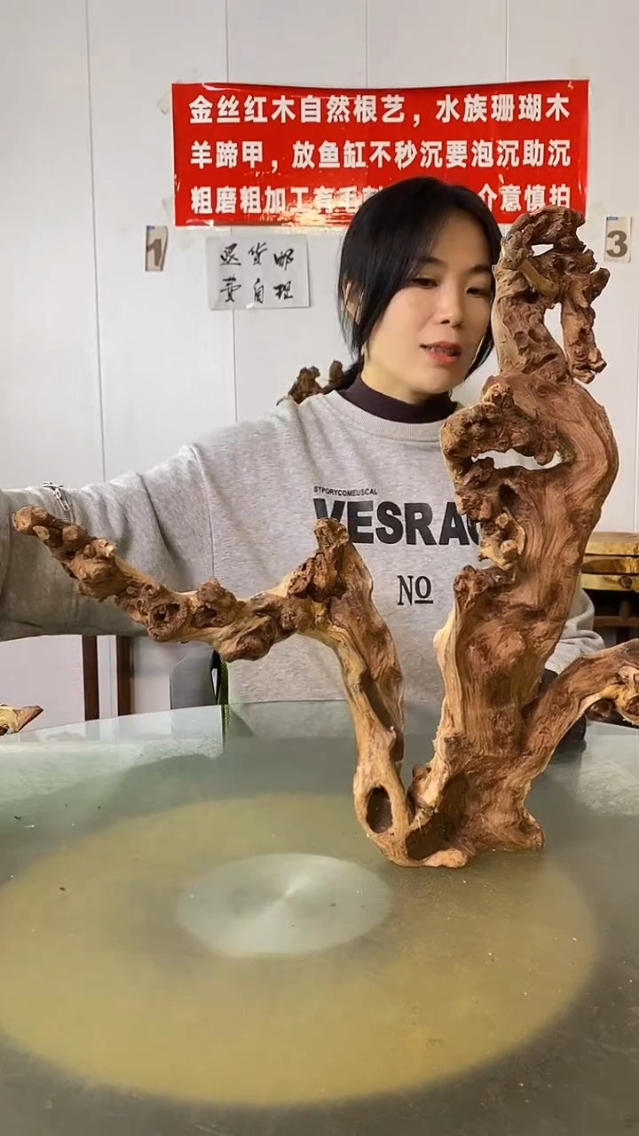 木冰*金丝红木  羊蹄甲