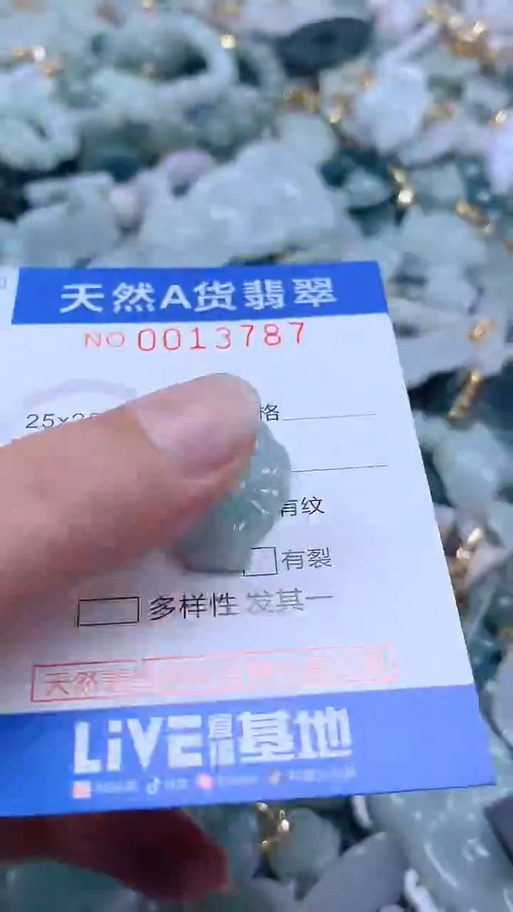 翡翠未镶嵌吊坠(不含链)1
