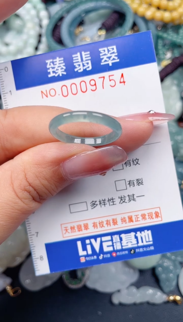 颈饰未镶嵌翡翠.0009754