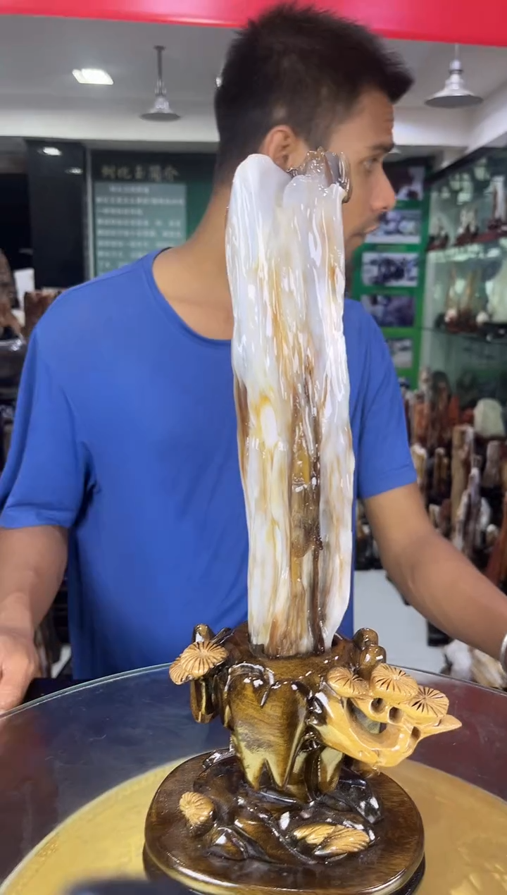 未镶嵌珠宝奇石硅化玉缅甸天然树化玉摆件 