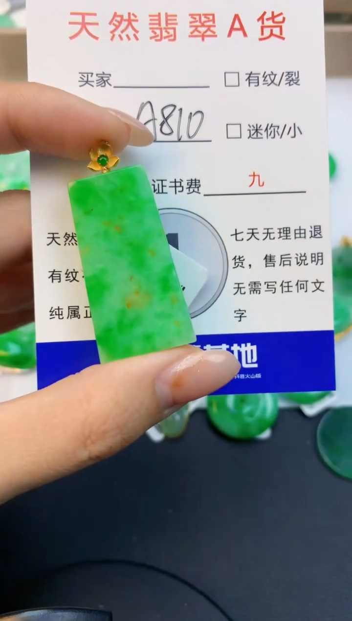 颈饰18K金镶嵌翡翠天然缅甸a货翡翠百元以上9元证书费自理