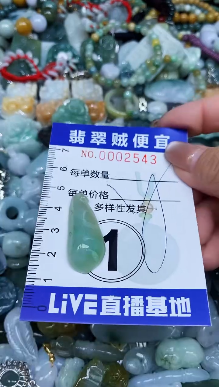 【闪购商品】翡翠未镶嵌颈饰闪购0002543
