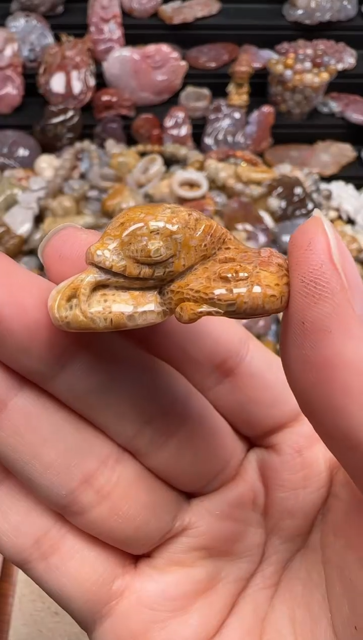 【闪购商品】硅化珊瑚（珊瑚玉）颈饰未镶嵌754