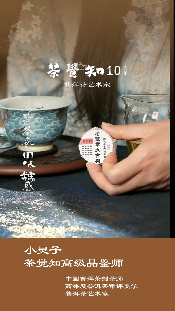2025年老班章大古树头春生普 2泡