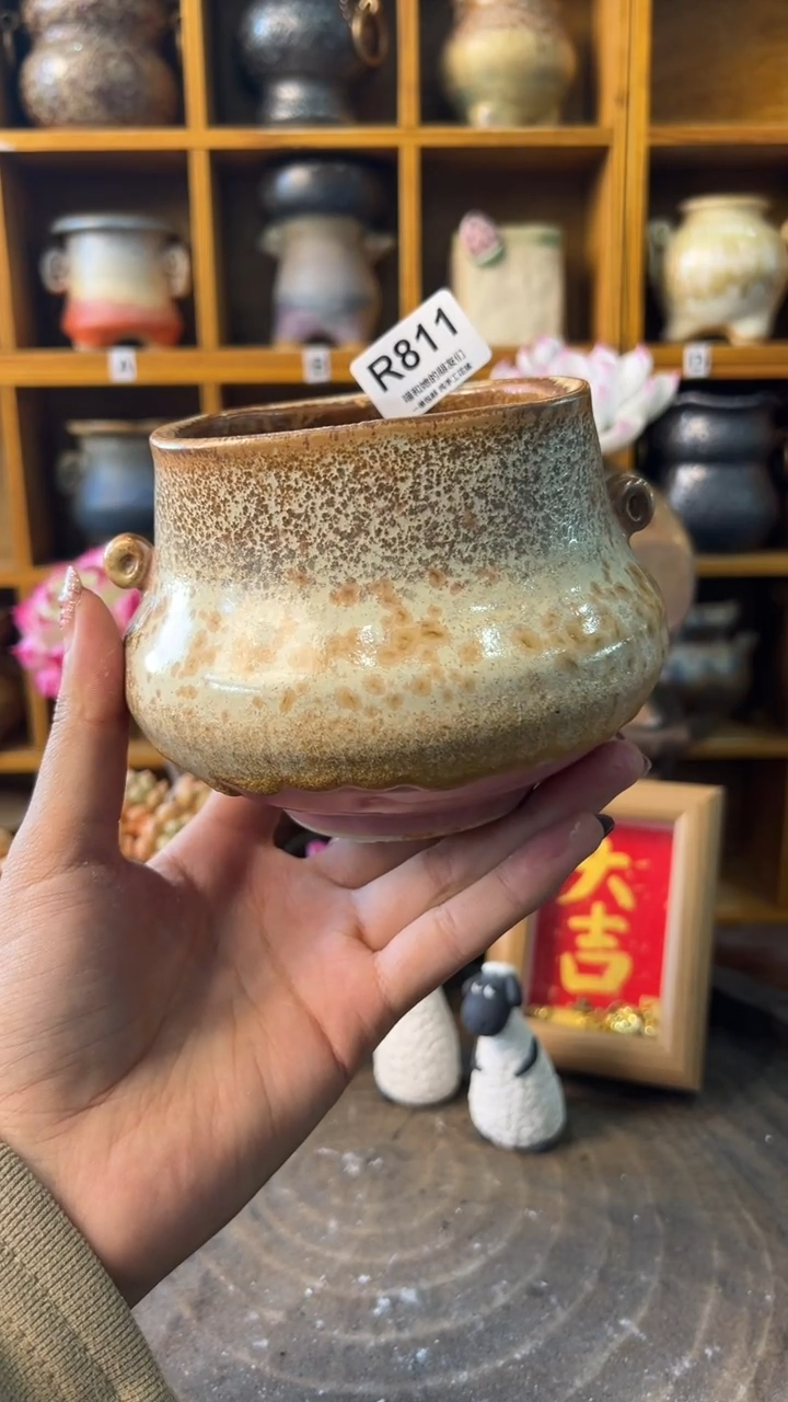 811内口8【多肉花盆多肉盆】