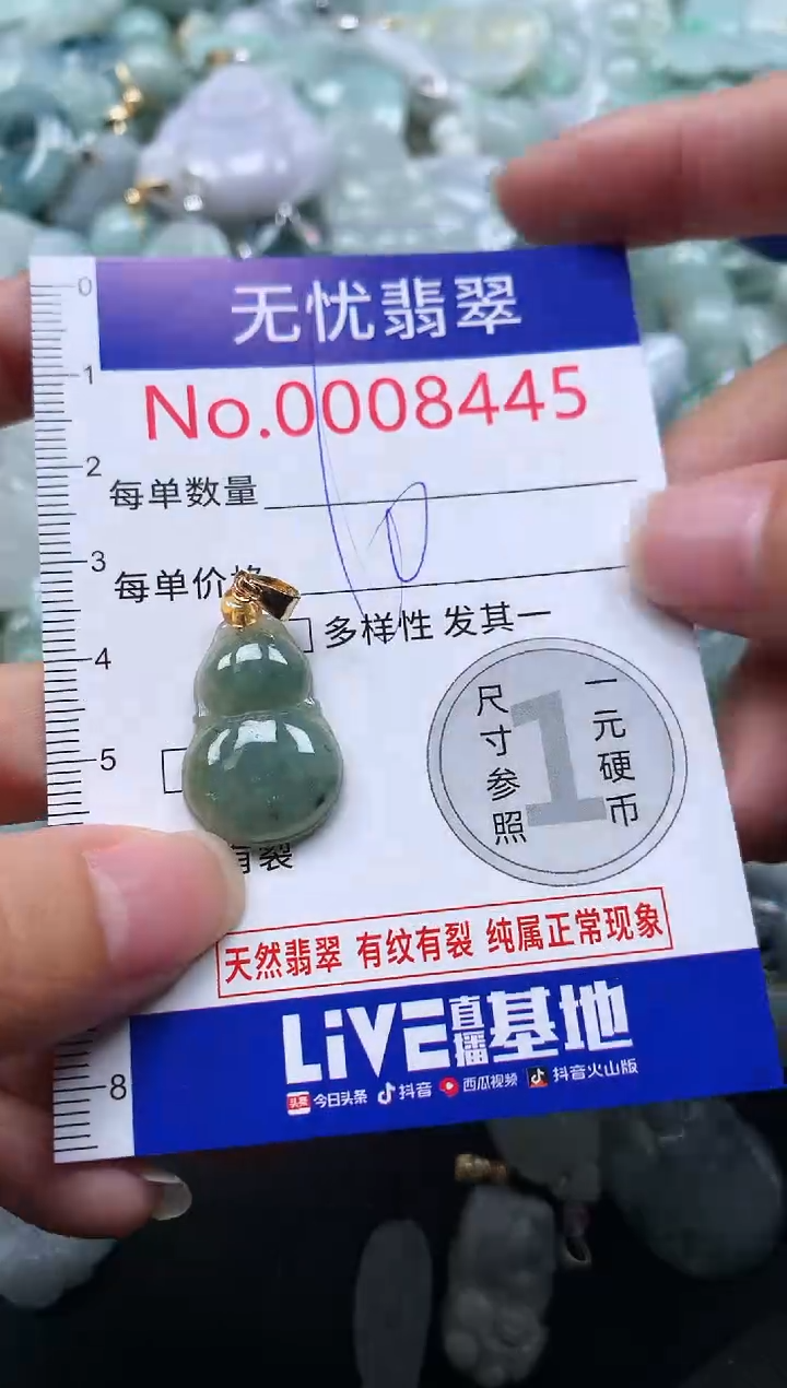 颈饰未镶嵌翡翠8445