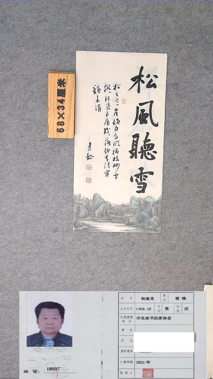 书法龙老师精品书法纯手写 湖北