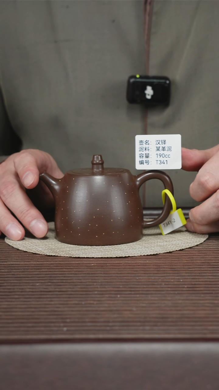 茶壶紫砂T341 某革泥 汉铎 190cc