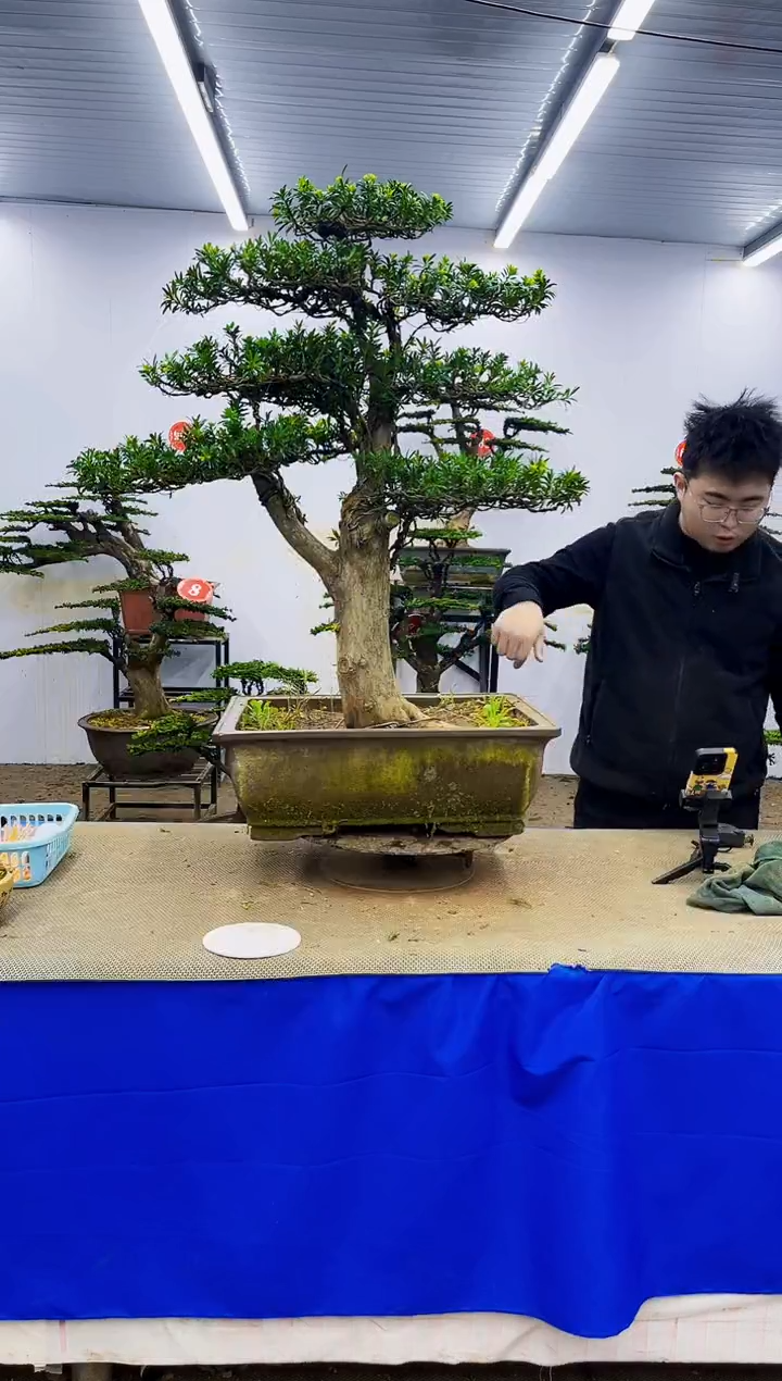 完全开放一物一拍，所见即所得