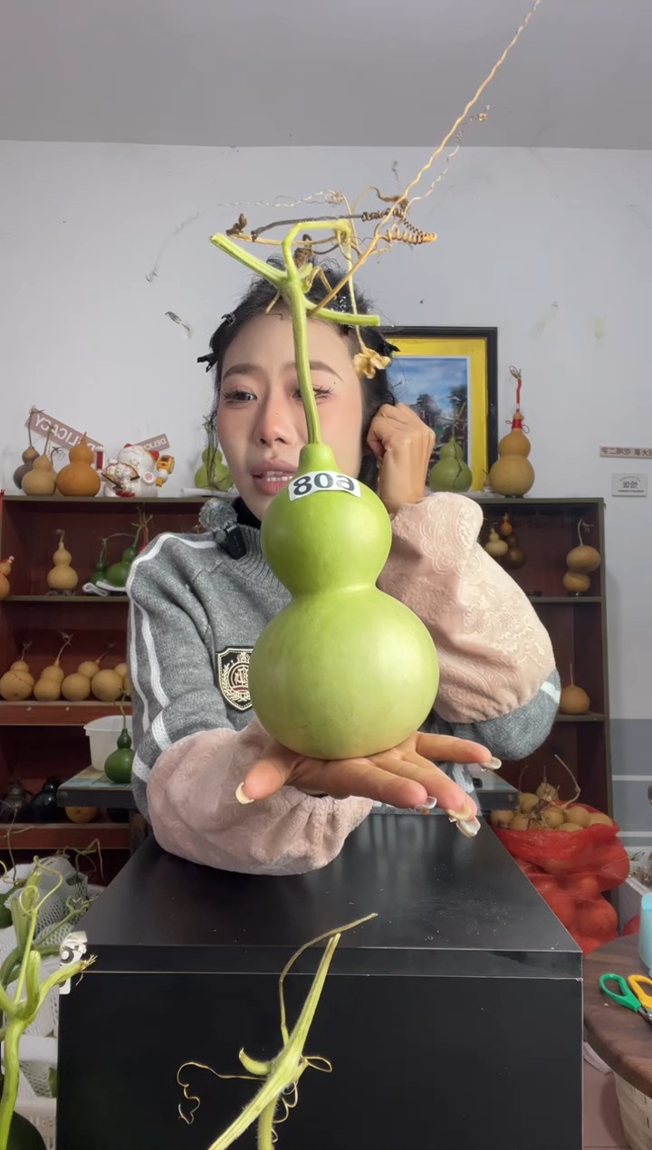 608天然葫芦摆件 一物一拍龙头不保售后