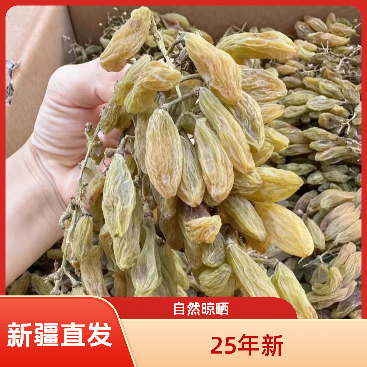 (25年新货) 新疆特产葡萄干组合原生态未清洗
