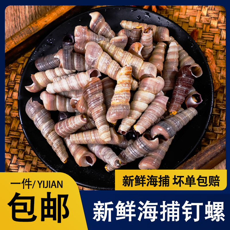 鲜活大个去尾钉螺鲜活发货