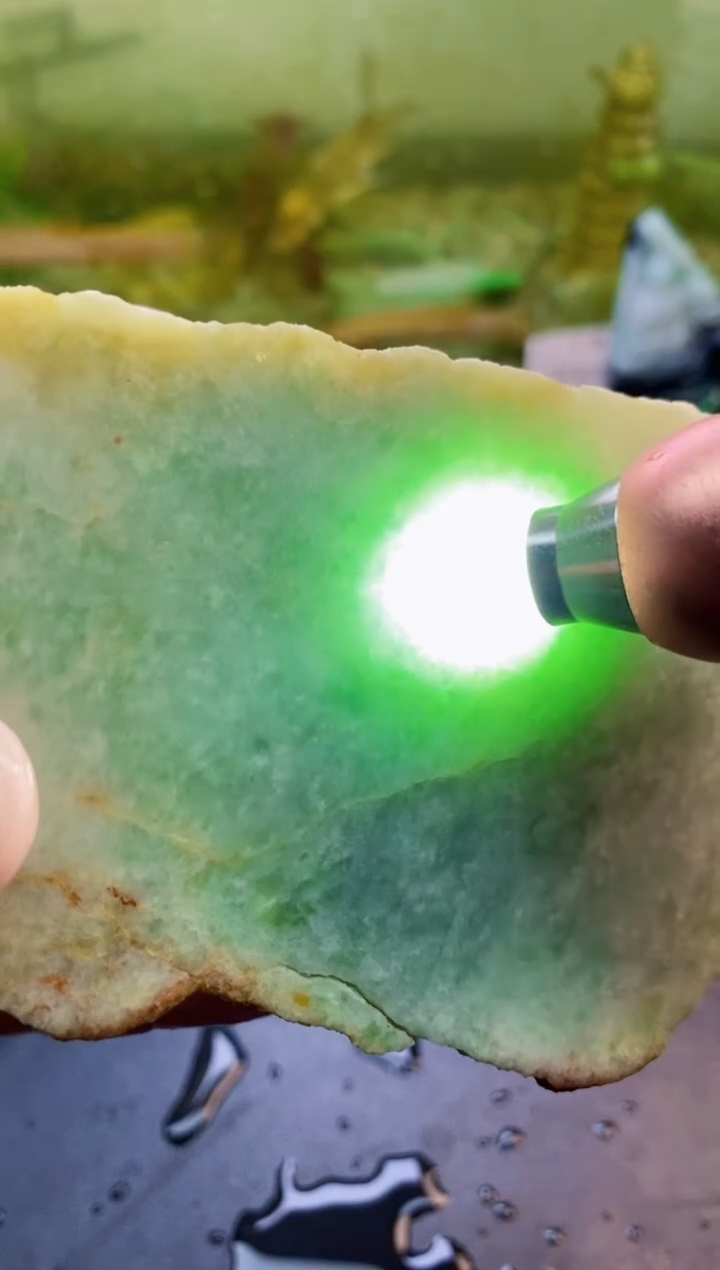 【闪购商品】翡翠颈饰未镶嵌203天然翡翠