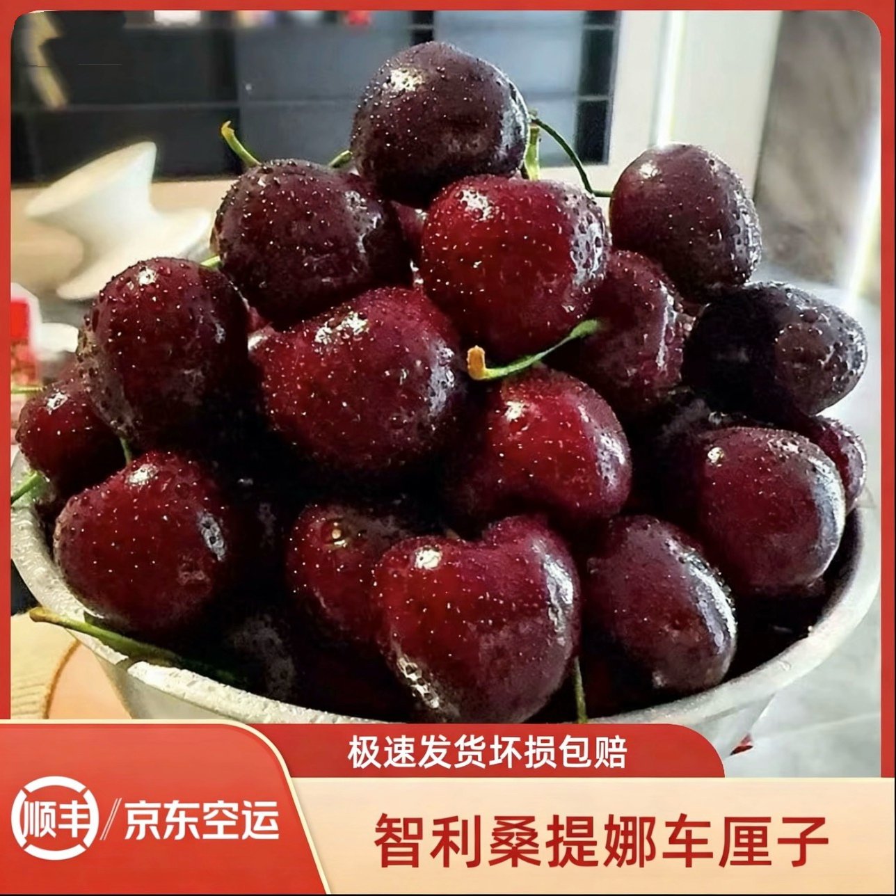 【果老表甄选】智利进口海运桑提娜车厘子3J内附果径卡