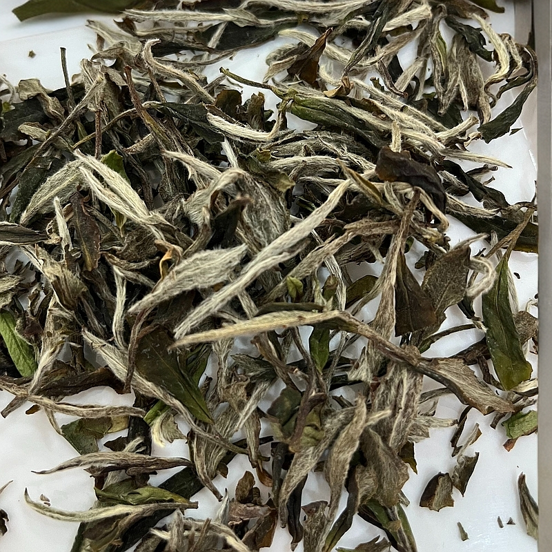 福鼎白茶/2022年兰花香/豪香/清甜鲜爽