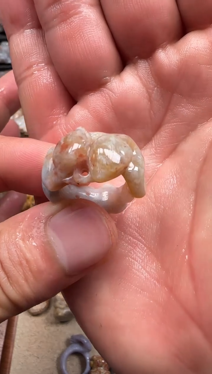 【闪购商品】硅化珊瑚（珊瑚玉）颈饰未镶嵌566