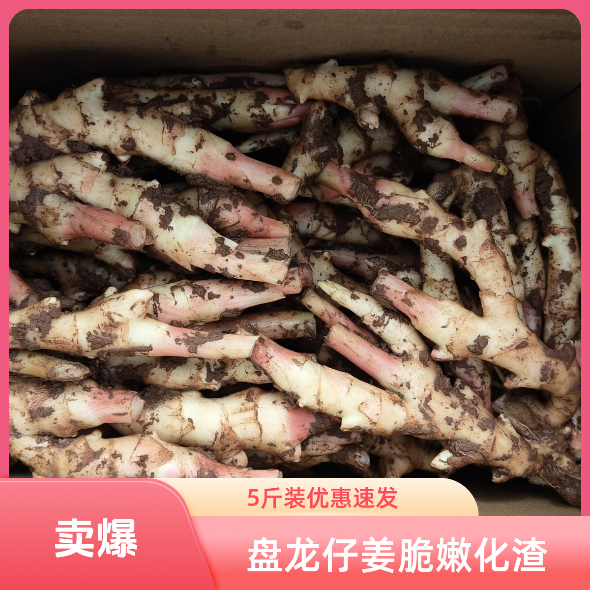 荣福农荣昌生姜脆嫩化渣——5斤装