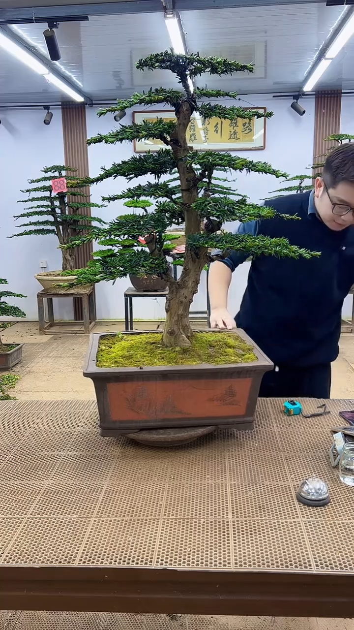 无花朵金****弋000000000000