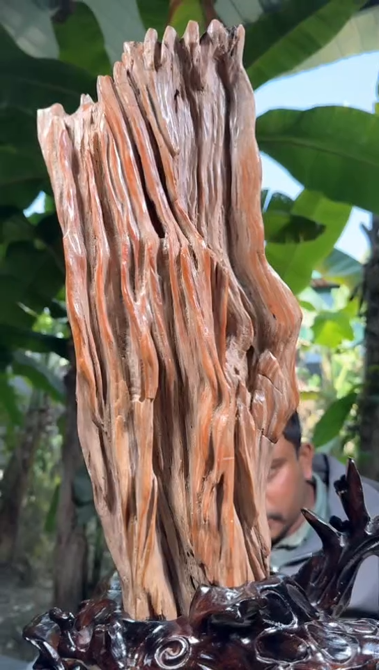 【闪购商品】硅化玉珠宝奇石未镶嵌拍一发一