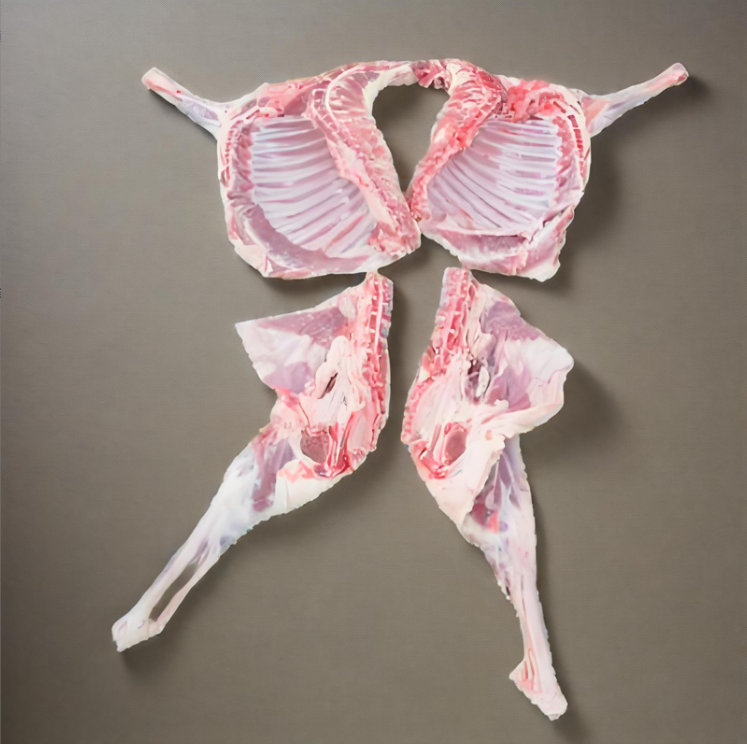 内蒙10斤新鲜羔羊四分体羊无抗生素无瘦肉精健康羊肉