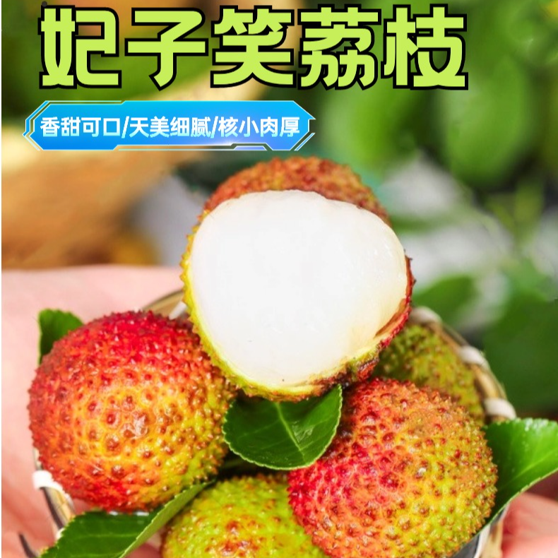 A8【正宗妃子笑荔枝】xz妃子笑荔枝新鲜现摘肉厚核小多汁产地直发