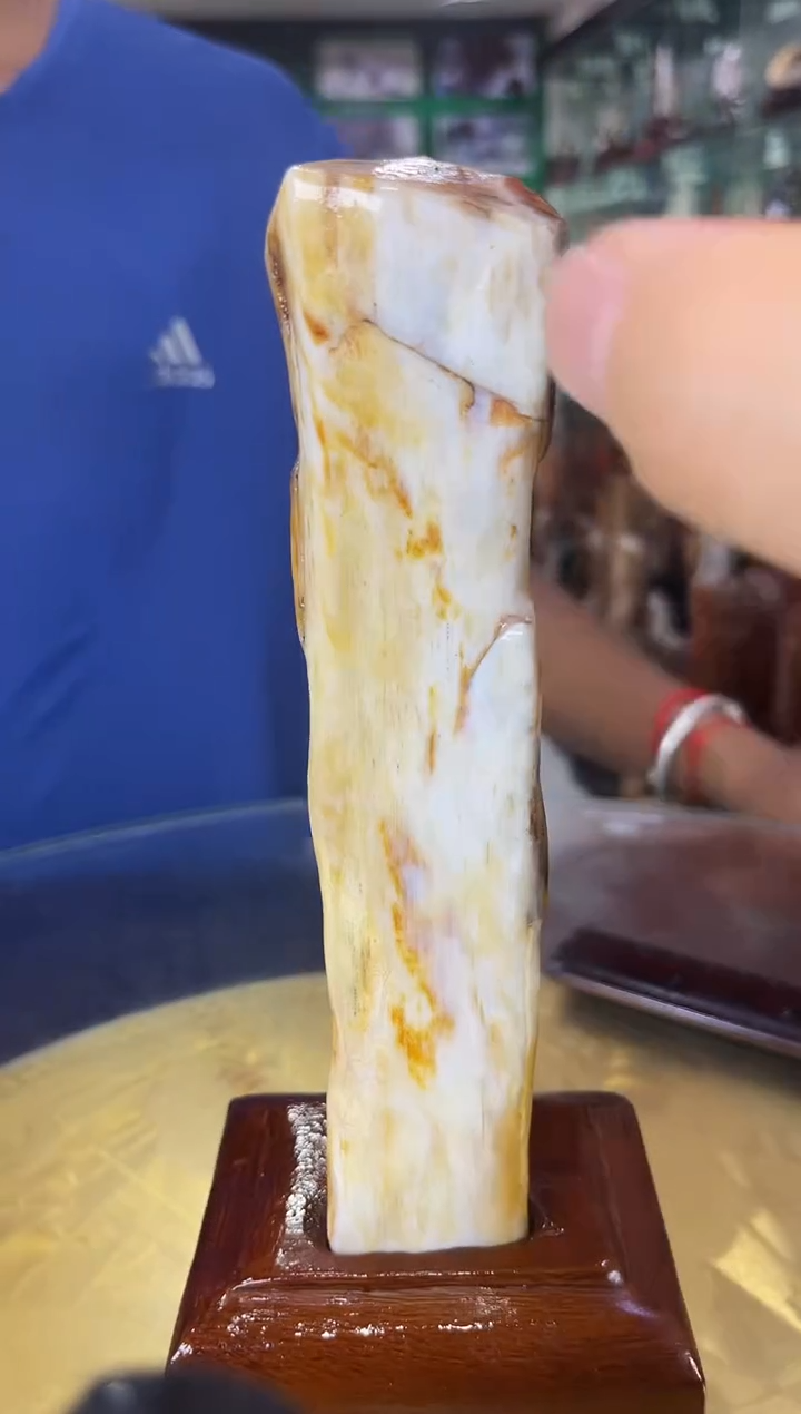 未镶嵌珠宝奇石硅化玉缅甸天然树化玉摆件