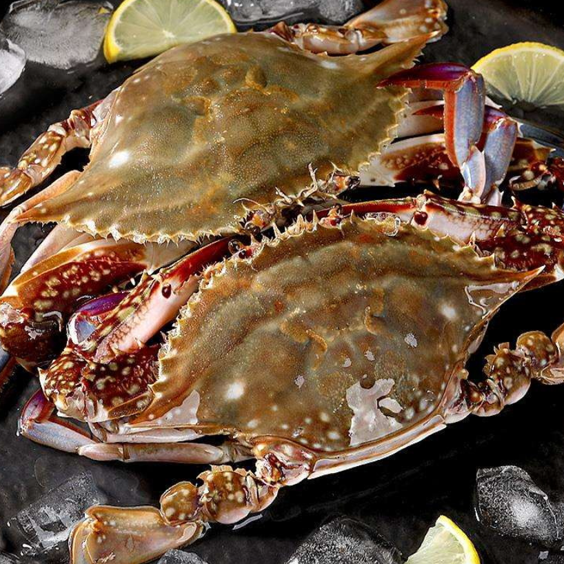 断氧 特价飞蟹4斤每只2两以上 （七八九成肥）【保鲜不保活】