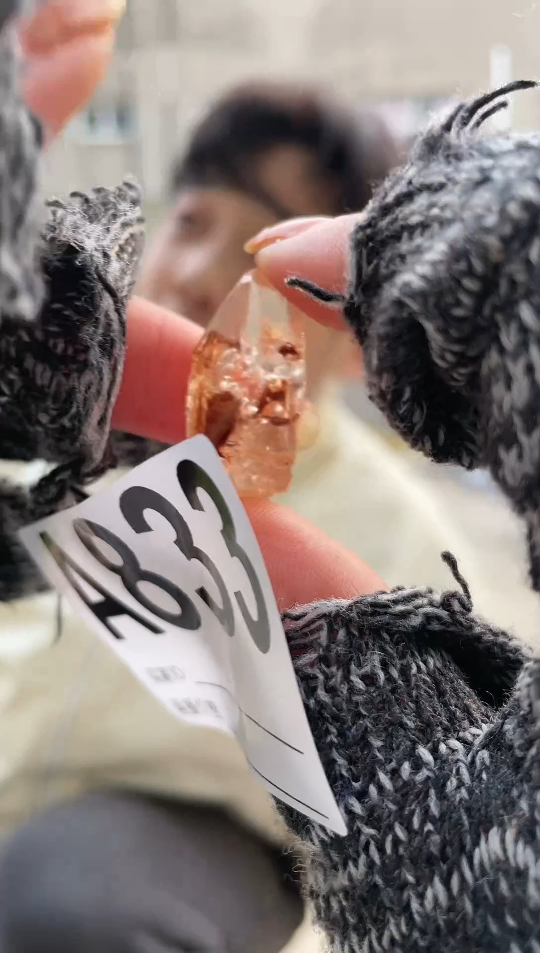 【闪购商品】水晶摆件未镶嵌红泥骸骨833