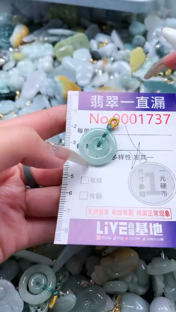 【闪购商品】翡翠吊坠(不含链)未镶嵌1737