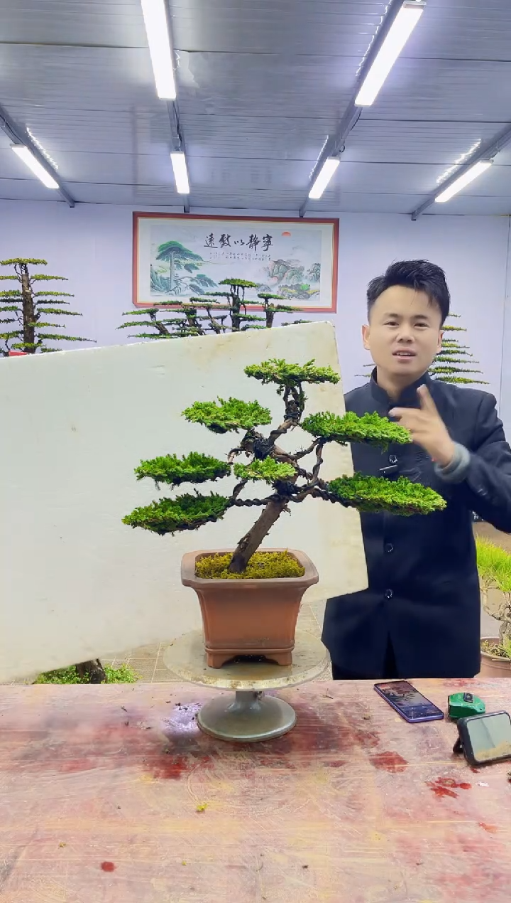 【闪购商品】一物一拍，所见即所得