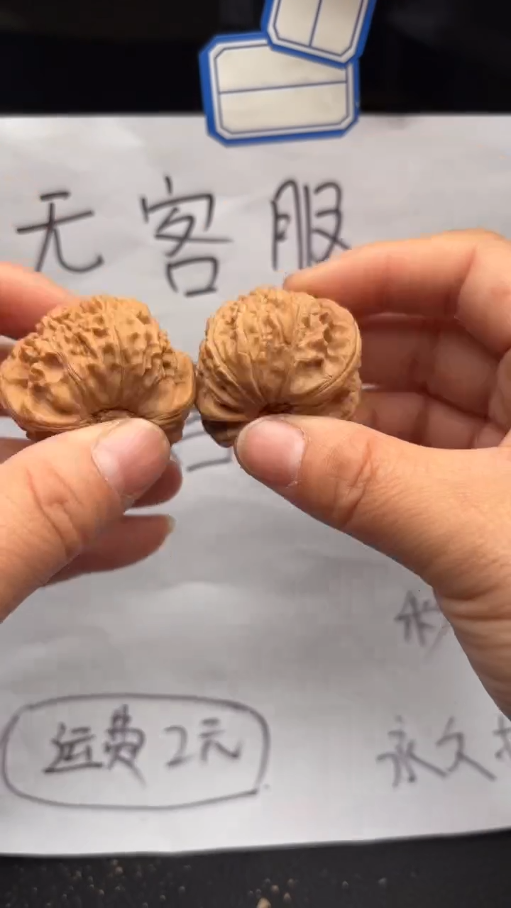 把件文玩核桃613白狮子