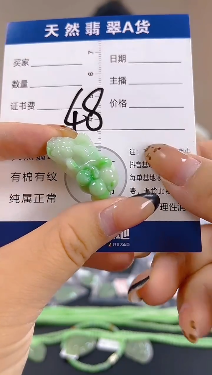 颈饰未镶嵌翡翠纯天然缅甸翡翠A货