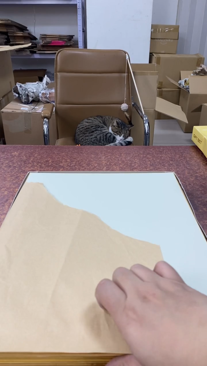 瓷片罗**君733小林轩欢迎您