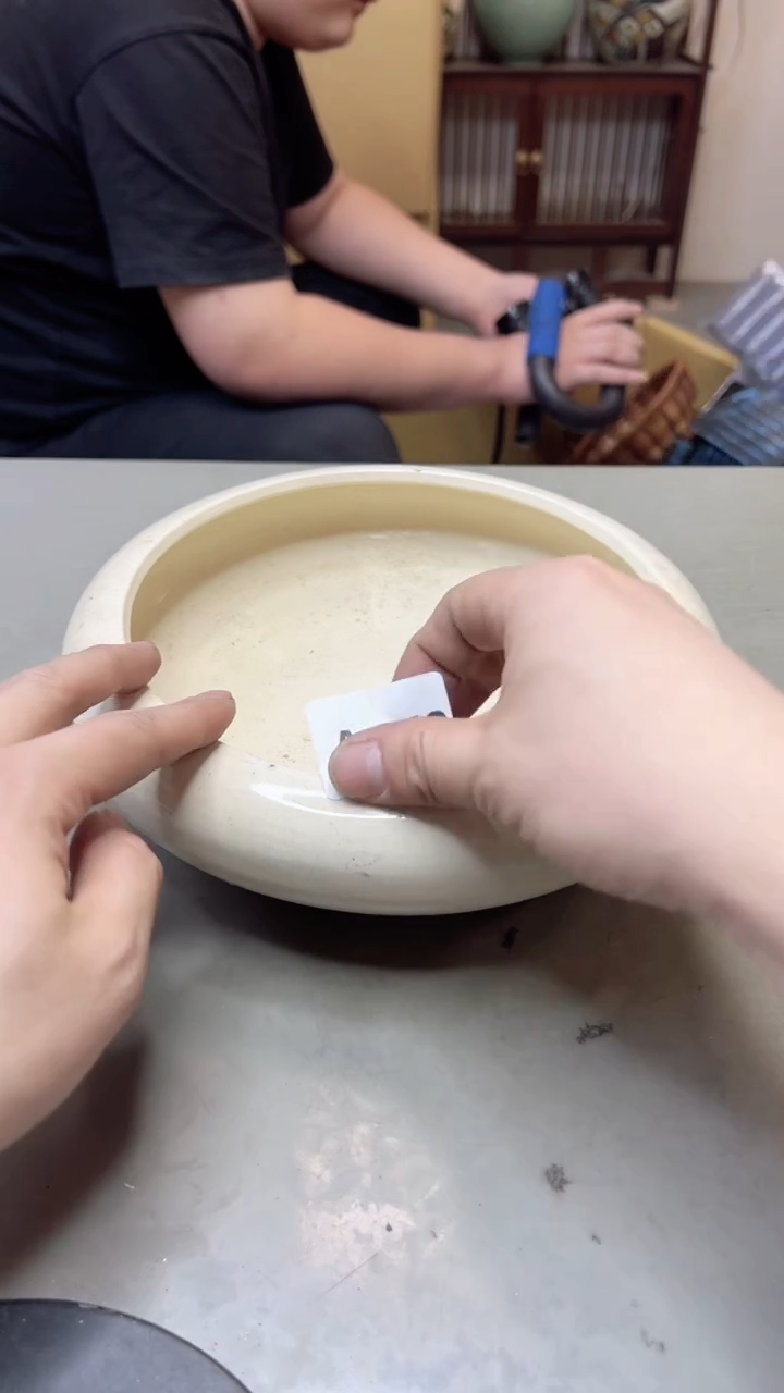 【闪购商品】瓷片542聚宝缘海淘精选