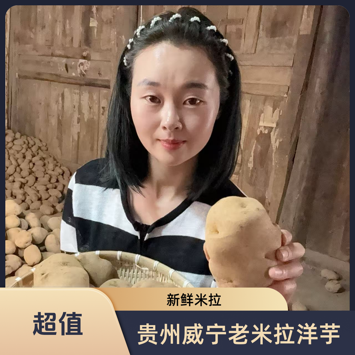 【新鲜现挖】贵州威宁老品种高山米拉洋芋