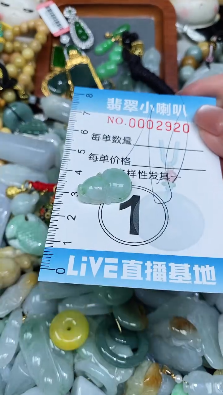 【闪购商品】翡翠颈饰未镶嵌闪购0002920