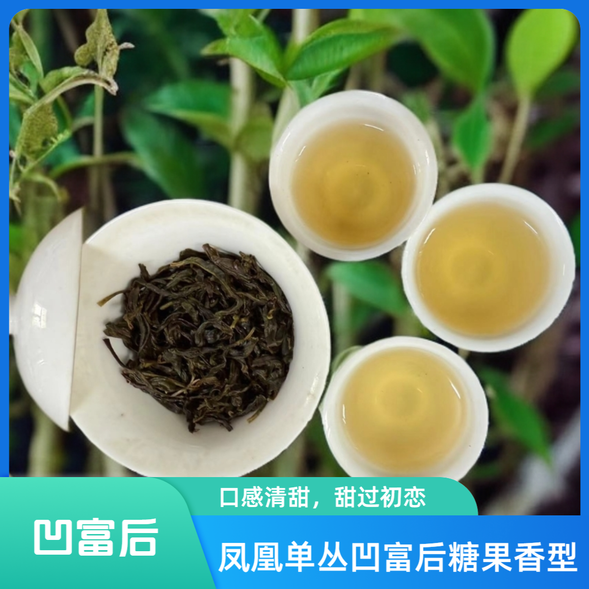 2025春茶新茶凤凰单丛凹富后 口感甜润糖果香 高级乌龙茶单枞茶叶