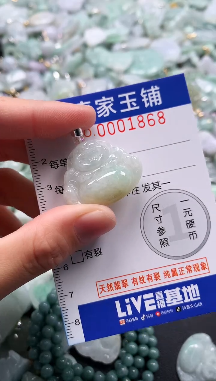 颈饰未镶嵌翡翠1868